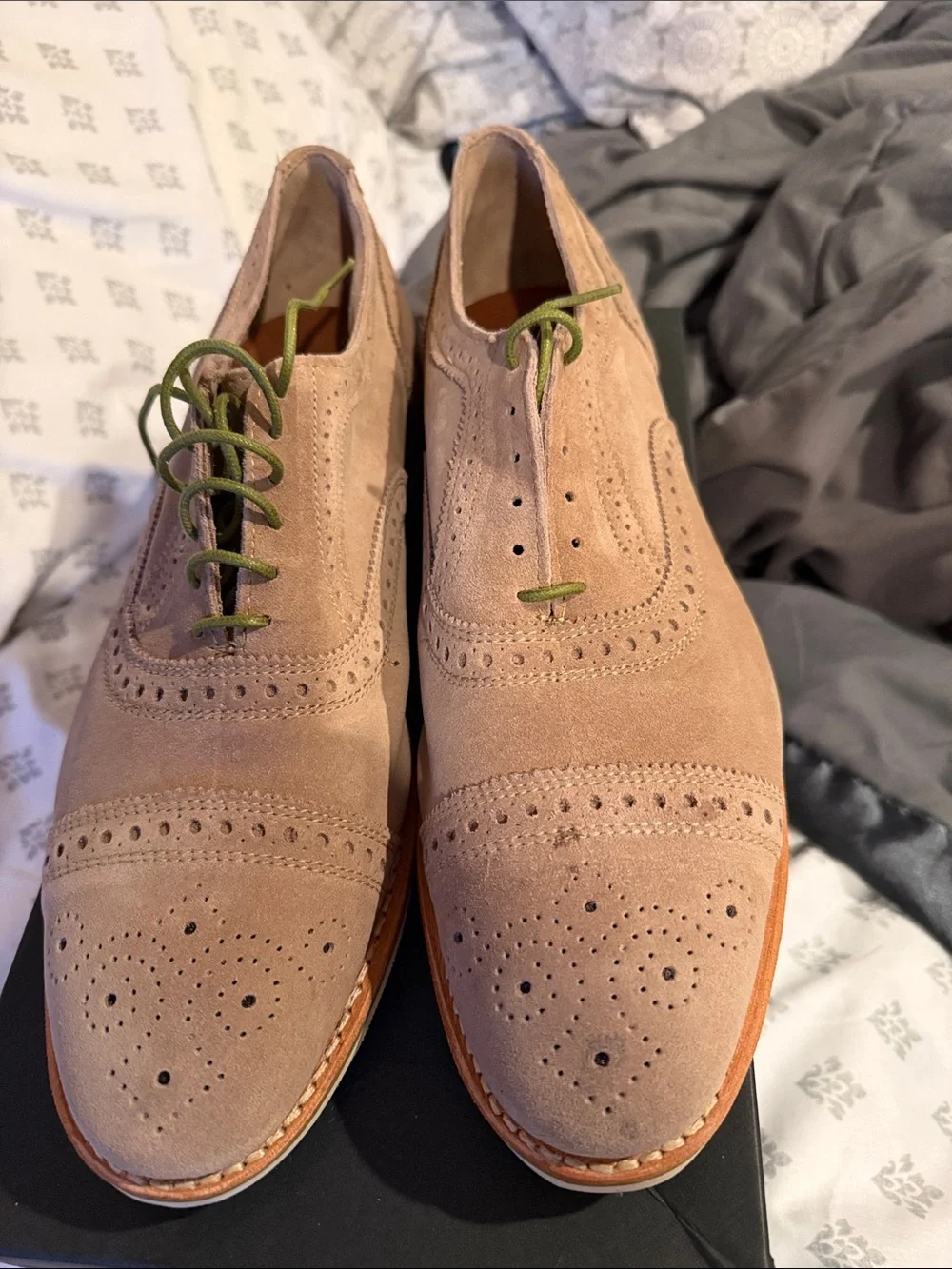 Allen Edmonds Suede Wingtip Oxfords in Tan with Green Laces